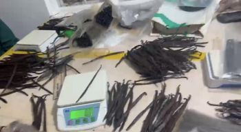 Vanilla beans from savannah roots Vanilla beans – product photo, Dried Vanilla Beans products found from trusted suppliers, wholesalers, manufacturers & exporters Listing
