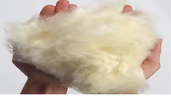 Kapor silk cotton Fibres Origin India Features Vegan Product Type Other Color Slight Yellow Colour Packing Option As Per Consumers Requirement - Fortune EXIM & General Tradings - United Arab Emirates