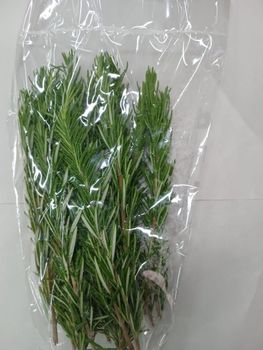 rosemary Origin kenya Type Rosemary - Roxpo exports@gmailcom - Kenya