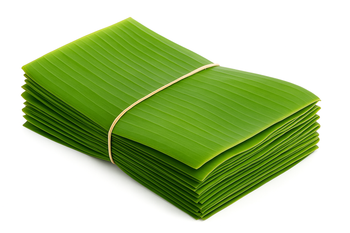 Banana Leaf Import quality of Indonesia - AJ GREAT GROUP COMPANY LIMITED - Indonesia