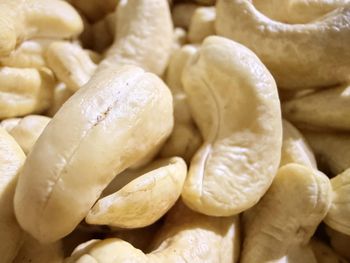 Best Price Wholesale Vietnam Cashew nut WW180 Excellent Quality Meeting Export Standards