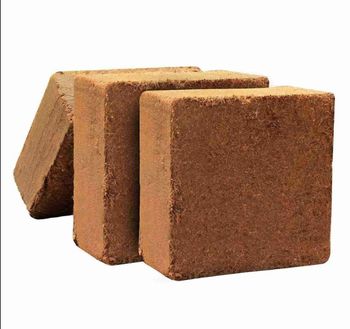 COCOPEAT 5KG BLOCKS - HI RICH EXPORTS - India