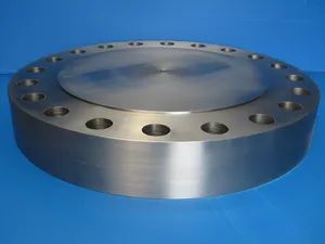 CNAS Duplex Steel Blind Flanges Factory for Valve - SHANXI BAOLONGDA FORGING CO. LTD - China