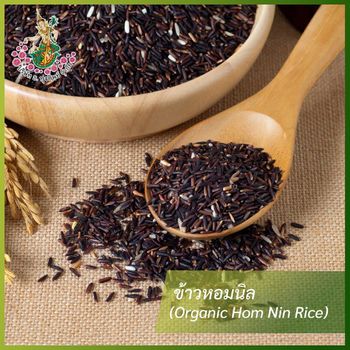Organic Hom Nin rice - DH. THUNGTHIP CO., LTD. - Thailand