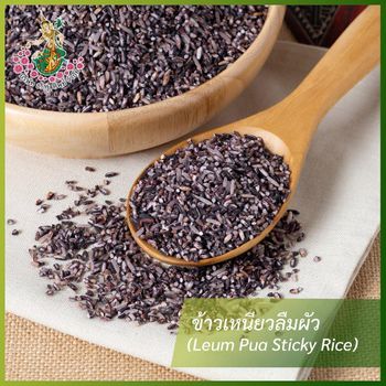Leum Pua sticky rice Texture Soft Packaging 1 kg Flavor Fragrant Rice Variety Khao Dok Mali 105, Khao Khao 15 Origin Na Dun District, Maha Sarakham Province, Thailand - DH. THUNGTHIP CO., LTD. - Thailand