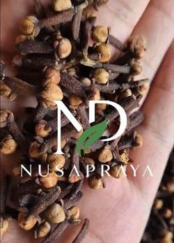 Cloves from Nusarpaya Cloves - Nusarpaya - Indonesia