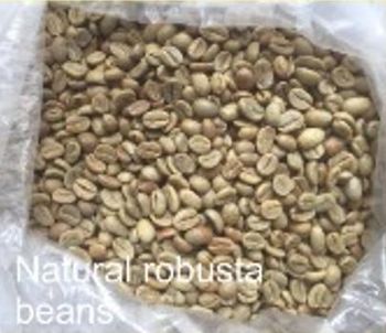 Coffee & Coffee Bean Price Per Kilogram Usd 5 Supply Chain Reliability Dependable Quality Assurance Backed By Quality Assurance - Licows Store - Indonesia