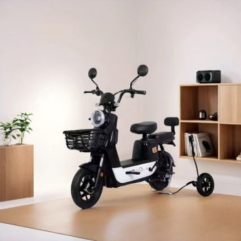 Saihu Lightweight Electric Bicycle with Rearview Mirror, Burglar Alarm, Electric Scooter - Linyi Huanyu Jindong New Energy Technology Co., Ltd. - China