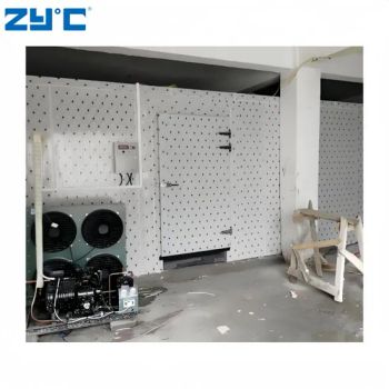Retain Fresh Walk in Cooler China Walk in Refrigeration Condensing Unit Good Compressor Australia Storage Fridge Cold Room - Quanzhou Zhiyun Refrigeration Equipment Co., Ltd. - China