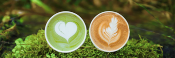 High Quality Matcha Green Coffee Blend Aromatic Taste Smooth Beverage Factory Price Wholesale - MASI TRADING GMBH - Germany