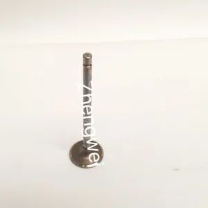 4089761 Kit, Intake Valve of Cummins Genuine Parts - Sichuan Zhengwei Power Technology Co., Ltd - China