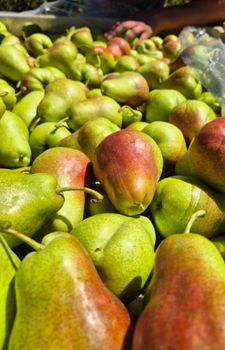 FRESH ROSEMARIE PEARS FOR SALE!! CLASS 1 EXPORT QUALITY ROSEMARY PEARS READY FOR EXPORT – product photo, Recommend Fallback