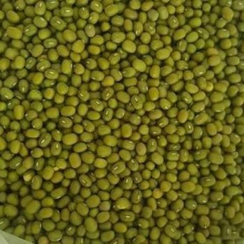 High Quality Green Mung Beans, Affordable Bulk Wholesale for Export from A.C.P. AGRICULTURE COMPANY LIMITED High Quality Green Mung Beans, Affordable Bulk Wholesale for Export - A.C.P. AGRICULTURE COMPANY LIMITED - Thailand