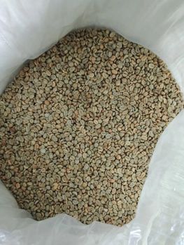 Green Coffee Beans - PT Sumatra Jawa Soil - Indonesia