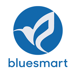 Product - Bluesmart Solar PV Co., Ltd. - China