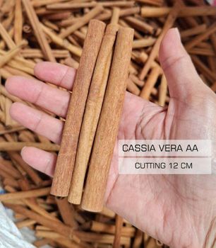 CASSIA CINNAMON STICK from PT. PACIFIC AGRO NUSANTARA CASSIA CINNAMON STICK - PT. PACIFIC AGRO NUSANTARA - Indonesia