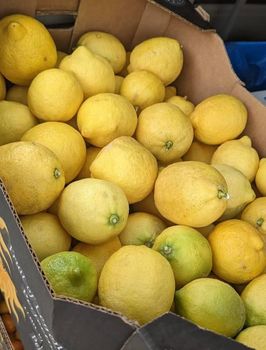 Fresh lemons - BF GLOBAL TRADING (PTY) LTD - South Africa
