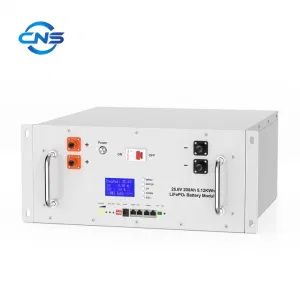 5kw 6kw 10kw Home Power Solar Systems 51.2V 48V 100ah LiFePO4 Lithium Ion Battery Pack - Henan Cns Energy Technology Co., Ltd. - China