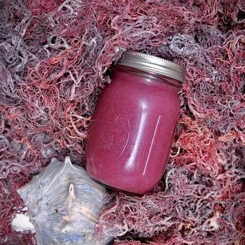 Top Exporter Premium Purple Eucheuma Cottonii. Special Products With Many Uses And Delicious Mr. Louis (WhatsApp: +84 379830699) - Sunrise Ins Group - Vietnam