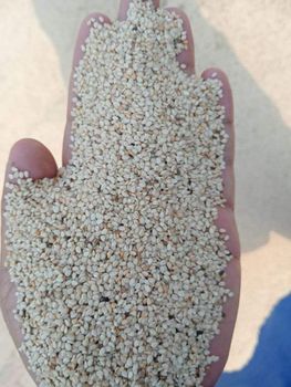 Sesame Seeds – product photo, Mixed Sesame Seeds products found from trusted suppliers, wholesalers, manufacturers & exporters Listing