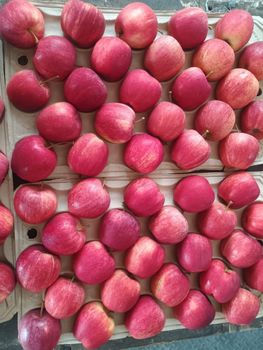 Fresh Apple - Andesbhumi International Farmers - India