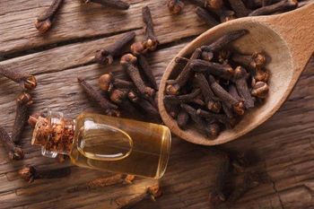 Whole Clove bud Crop Year 2025 Origin Comoros Hs Code 0907.00 Impurity Level 1% Stems Content 2% Max Baby Clove Content - SEFCOM - Italy
