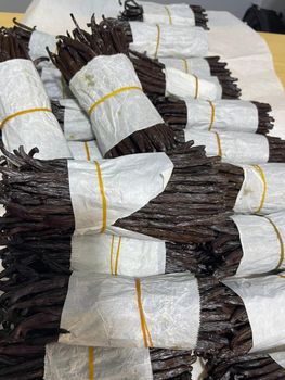 Vanilla Beans, vanilla paste Features Fair Trade, Halal, Organic - Ubungane ventures Ltd - Uganda