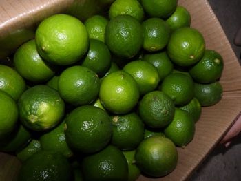 Seedless Lime Size S M L Origin Vietnam Packaging 5kg/ per box Packing Size 5kg Per Box Variety Seedless Lime (citrus Aurantiifolia) - Kasen - Vietnam