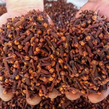 Premium Indonesian Whole Cloves Lal Pari Cloves and AB6 Cloves - BOLIDO NETHERLANDS B.V. - Netherlands