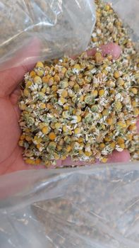 Dried Chamomile Flower from ADEPT IMPEX PVT LTD Dried Chamomile Flower - ADEPT IMPEX PVT LTD - India