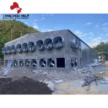 Modernization Steel Structure Building Chicken Coop for Poultry Farming - Cangzhou help poultry equipment Co., Ltd. - China
