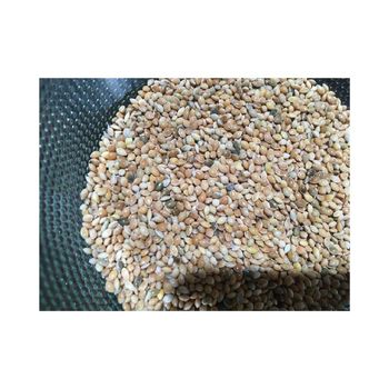 High quality yellow millet supplied in large quantity for inter-national export markets - AFRIVET TRADING SERVICES - South Africa