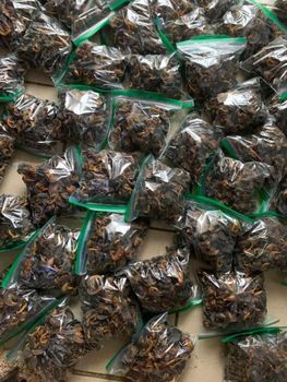 fresh and dried snails Grade A Flavor Rich Flavor Place of Origin Douala Handling Hygienic Handling Shelf Life Long Shelf Life - Cameroon Agricultural Compant Ltd - Cameroon