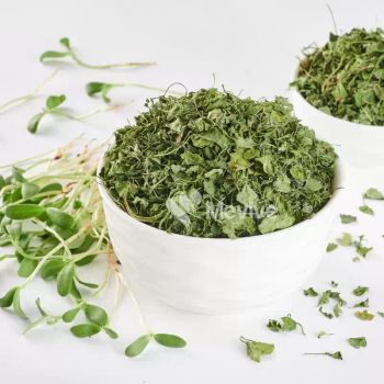 Dehydrated Fenugreek Leaves – Premium Quality - Buddha Overseas - India