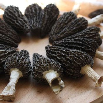 Factory Price Price Of Black Mushroom Morel Mushroom Wild Dried Morel - Changchun Golden Seed Agricultural Products Co., Ltd. - China