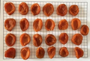 Dried Apricots | Top Grade | Pitted | Size 1-4 | SO2 | Conventional | Uzbekistan from From Wild International s.r.o Dried Apricots | Top Grade | Pitted | Size 1-4 | SO2 | Conventional | Uzbekistan - From Wild International s.r.o - Spain