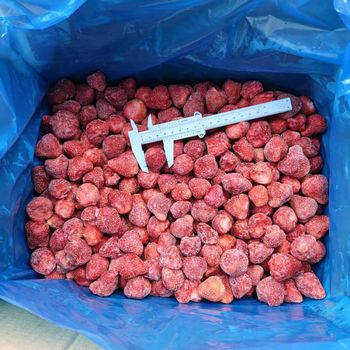 IQF Strawberry Whole Frozen Strawberry Whole Frozen Fruits Strawberry - Shandong Guohai Imports and exports Co., ltd - China