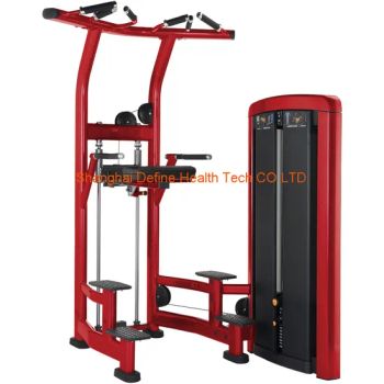 body fitness equipment gym equipment Chin up best Assist DIP Chin DF 9010 - Shanghai Define Health Tech Co., Ltd. - China