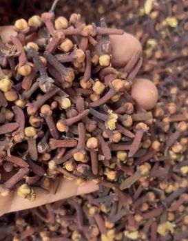 Lalpari Cloves Origin Indonesia Grade AB6 Form Whole Size 13-17 mm Origin Indonesia Max. Moisture (%) <5% Drying Process Natural - PT Jati Bening Indonesia - Indonesia