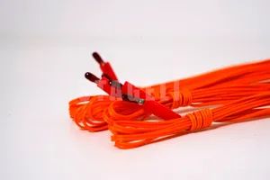Hot-Sell Electric Igniters 3m Wireless Igniter Fireworks Igniter Electric Match - Liuyang Stageli Technology Co., Ltd - China