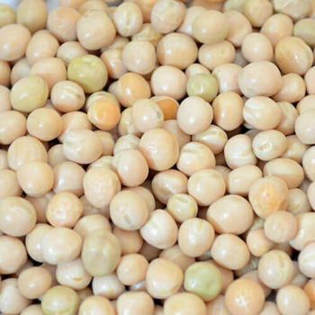 White Peas Natural and Healthy White Peas Bulk Supply White Peas for Export at Competitive Rates - AGRO AFRIQUE COMPANY LIMITED - Tanzania