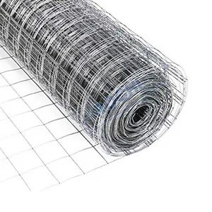 Flexible 3X4mm PVC Coated Garden Trellis Square Hole Welded Wire Mesh - Hebei Rochi Metal Products Co., Ltd - China
