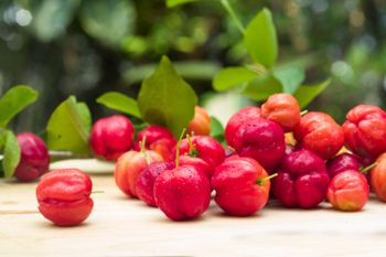 Organic Acerola Freeze Dried up to 40% Natural Vitamin C Packaging 10 kilos Shelf Life 2 years Cultivation Type Organic Drying Process Freeze Dried - Ibiag Brazilian Ingredients - Brazil