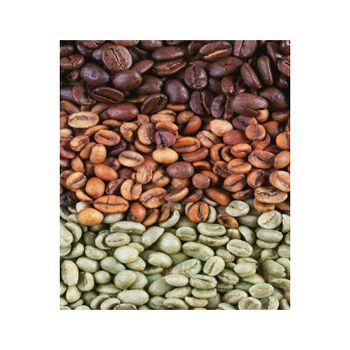 New Arrival Robusta Coffee green fresh beans for original Aroma Flavor and Taste Buy Now From India - ZENITH WORLD - India