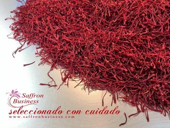 Saffron - Saffron Business - Iran