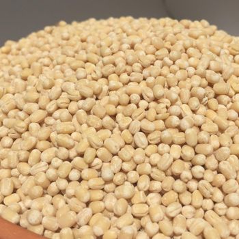 High Quality Natural Urad Dal For Wholesale Buyers With Careful Sorting And Reliable Packing Urad Dal In Bulk - AGRO AFRIQUE COMPANY LIMITED - Tanzania