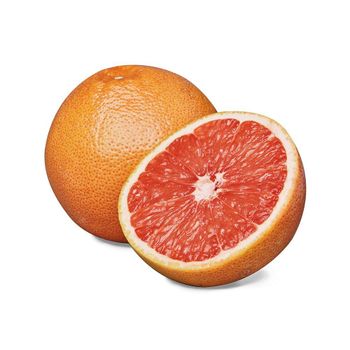 new crop top quality fresh white grapefruit - Mundus Exports Pty Ltd - South Africa