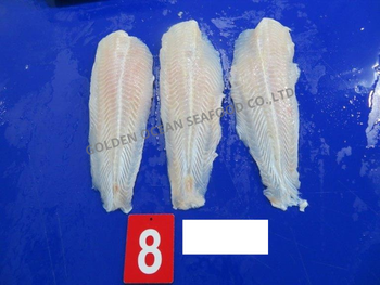 Pangasius Fillet - GOLDEN OCEAN SEAFOOD - Vietnam