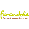 Product - FARANDOLE, CRÉATEUR DE BOUQUETS DE CHOCOLATS - France