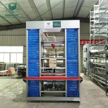 Angola Poultry Farm Automatic Poultry Cage Layer Laying Hens Cages - Hebei Hightop Livestock Farming Equipment Co., Ltd. - China